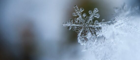 Inverno | neve | ghiaccio | snow