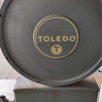 Bilancia Toledo 30 kg usata