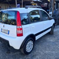 Fiat Panda 4x4 usata