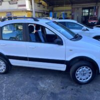 Fiat Panda 4x4 usata