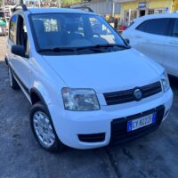 Fiat Panda 4x4 usata