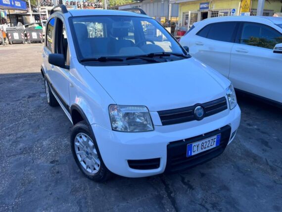 Fiat Panda 4x4 usata