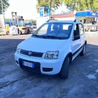 Fiat Panda 4x4 usata