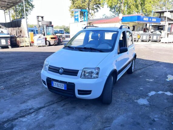 Fiat Panda 4x4 usata