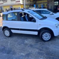 Fiat Panda 4x4 usata