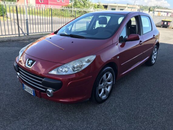 Peugeot 307 usata