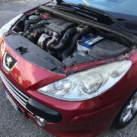 Peugeot 307 usata