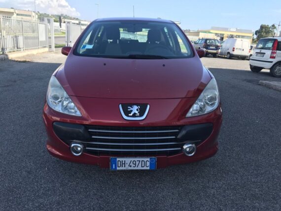 Peugeot 307 usata