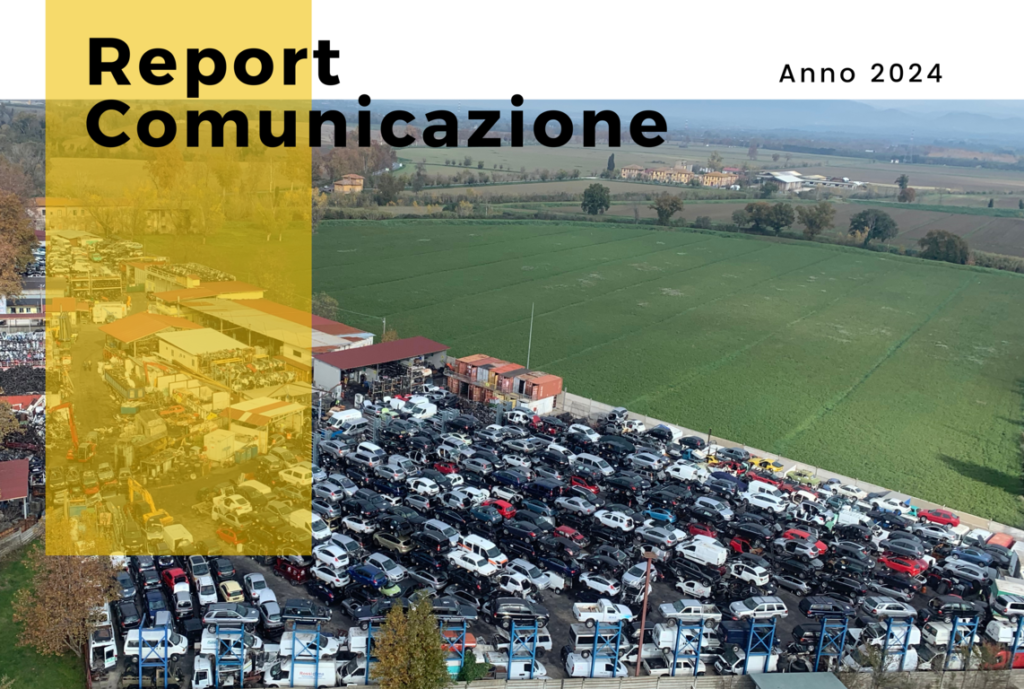 Report Comunicazione Pomilids 2024