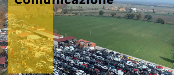 Report Comunicazione Pomilids 2024