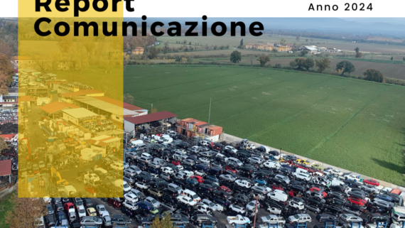 Report Comunicazione Pomilids 2024