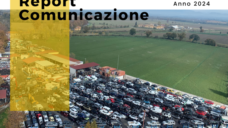 Report Comunicazione Pomilids 2024